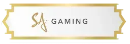 ค่ายเกมส์ (6)